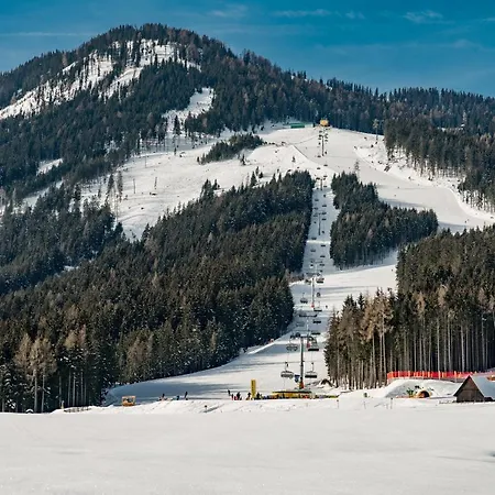 - Kleine Bleiberger By Schladmingurlaub Appartamento *