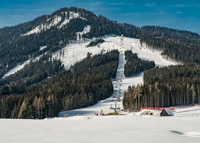 - Kleine Bleiberger By Schladmingurlaub Apartamento *